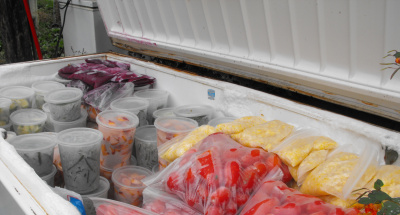 Save Money by Using Your FREEZER!
