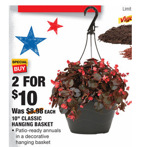 Home Depot: Purchase 2 Hanging Basket For Only $10!