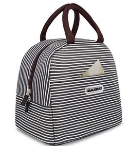 Cute, Striped Lunch Bag Tote $8.99