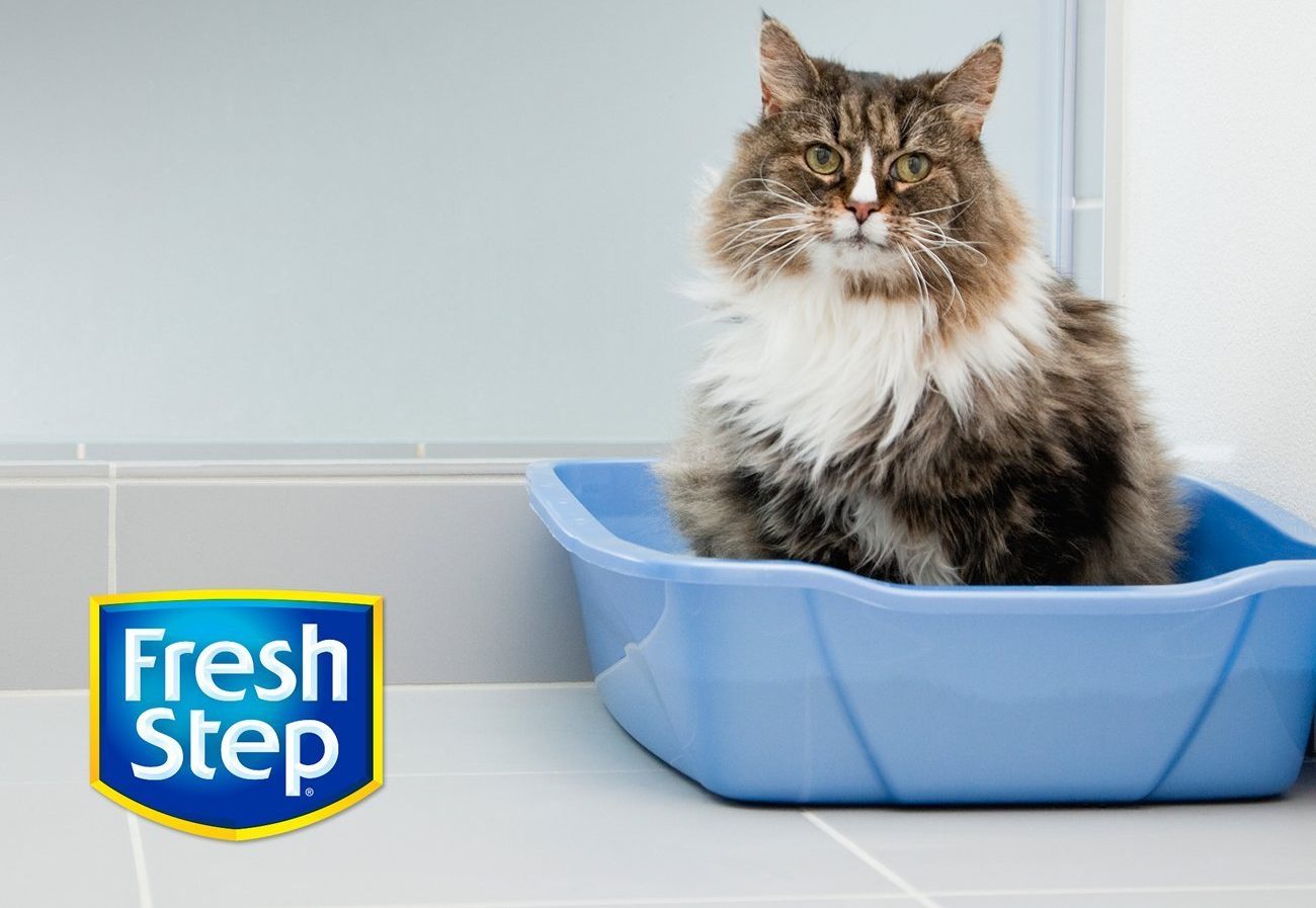 34 lbs of Fresh Step Multi-Cat with Febreze Freshness, Clumping Cat Litter Only $12.79!!