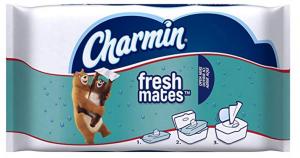Charmin Freshmates Flushable Wet Wipes 40-Count 12-Pack Just $11.94!