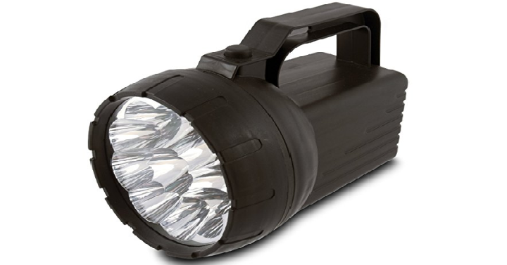 RAYOVAC Value Bright 85-Lumen 6V 10-LED Floating Lantern Only $4.92! (Reg. $19.99)
