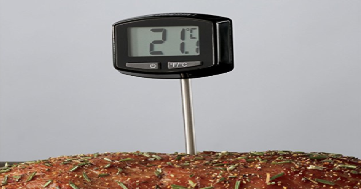 Weber Original Instant-Read Thermometer Only $7.49!