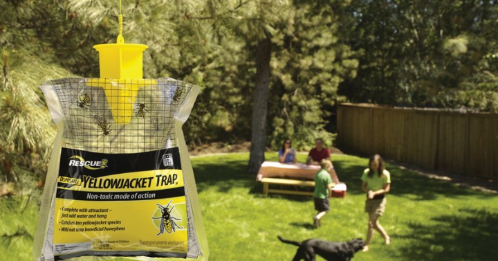 RESCUE! Non-Toxic Disposable Yellowjacket Trap, East of the Rockies Only $3.77!