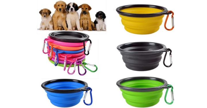 Portable Collapsible Pet Travel Bowl Only $5.49 Shipped!
