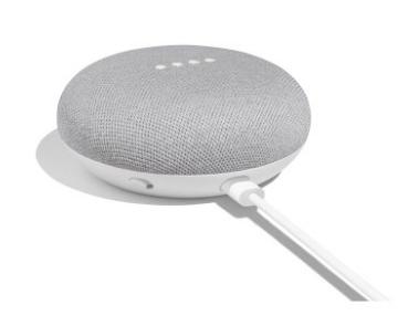 Get TWO Google Home Minis for only $48!
