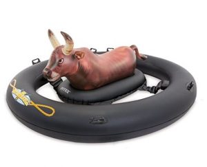 Inflatable Bull Pool Toy just $45!