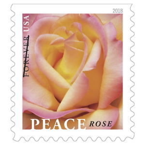 eBay: Save 15% Off $25+ Purchase! Forever Stamps Only $.44 Each Shipped!