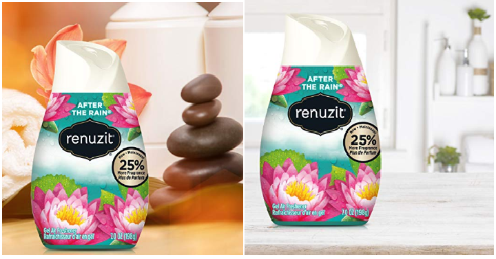 Renuzit Adjustable Air Freshener Gel, After The Rain (6 Count) Only $3.72 Shipped!