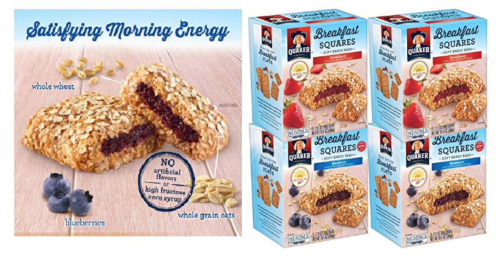 Quaker Breakfast Squares Blueberry & Strawberry (Pack of 4) Only $7.12 Shipped! That’s Only $1.78 per Box!