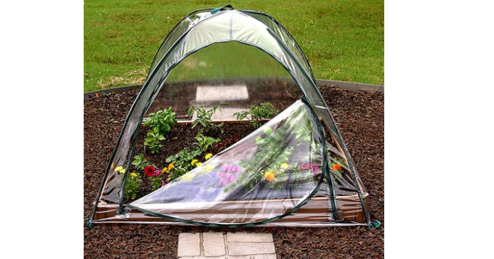 Plant or Flower Clear Cover, 48″ x 48″ Only $18.94!