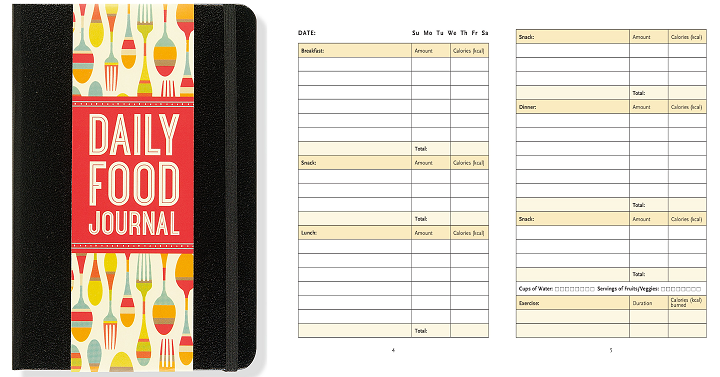 Daily Food Journal Only $3.11 on Amazon!