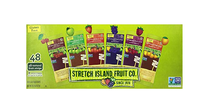 Stretch Island Fruit Leather Variety Pack 48-Count Only $10.06 Shipped!