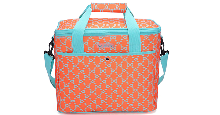 18L Large Soft Cooler Insulated Picnic Tote Bag – Just $15.29!