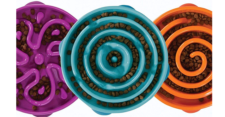 Outward Hound Fun Feeder Slow Feed Interactive Bloat Stop Dog Bowl – Just $6.19-$9.27!
