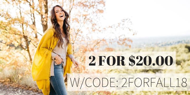 Cents of Style – 2 For Tuesday – CUTE and Trendy Blanket Scarves – 2 For $20! FREE SHIPPING!