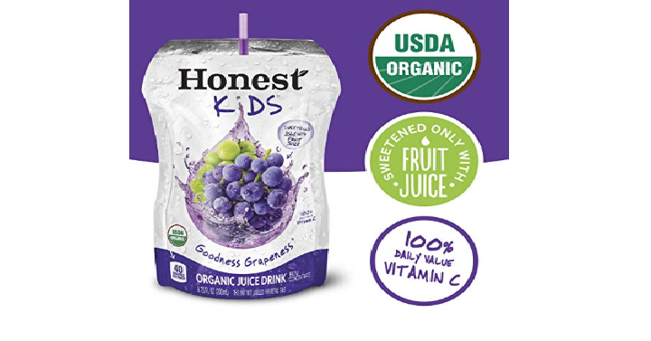 HONEST Kids Organic Juice Drink Grapeness (Pack of 32) Only $9.00 Shipped!