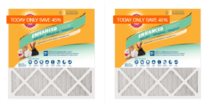 Home Depot: Save Up to 45% off Select Arm & Hammer 12-Pack Air Filters!