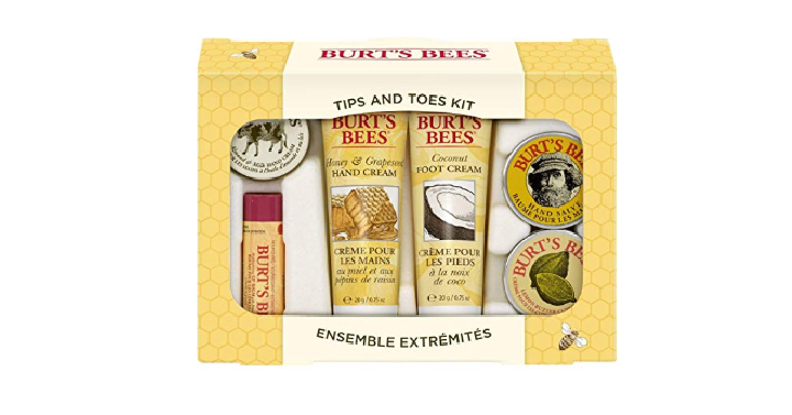 Burt’s Bees Tips and Toes Kit Gift Set Only $9.30! 6 Items Included!