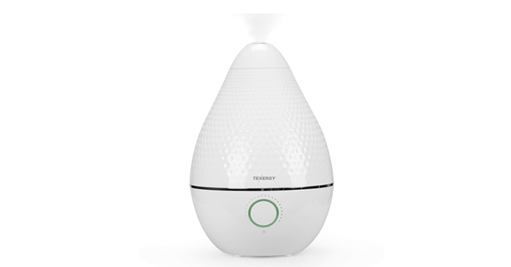 Ultrasonic Cool Mist Humidifier Essential Oil Diffuser w/ Activated Carbon Air Filter – Just $41.99!