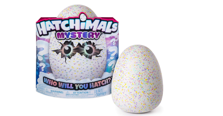 Hatchimals Cloud Cove Mystery Egg Only $29.99 Shipped!! (Reg. $60)
