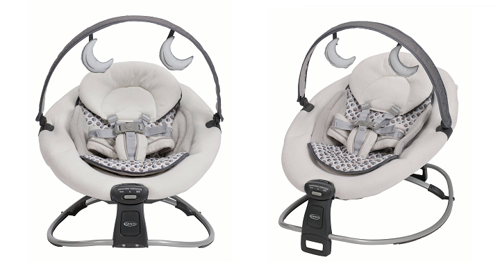 Graco Duet Rocker and Baby Seat Only $49.00! (Reg $80.45)