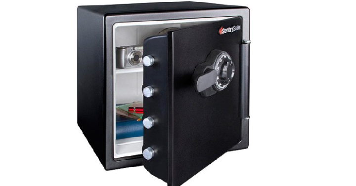SentrySafe Fireproof Safe and Waterproof Safe with Dial Combination Only $89.97 Shipped! (Reg. $147)