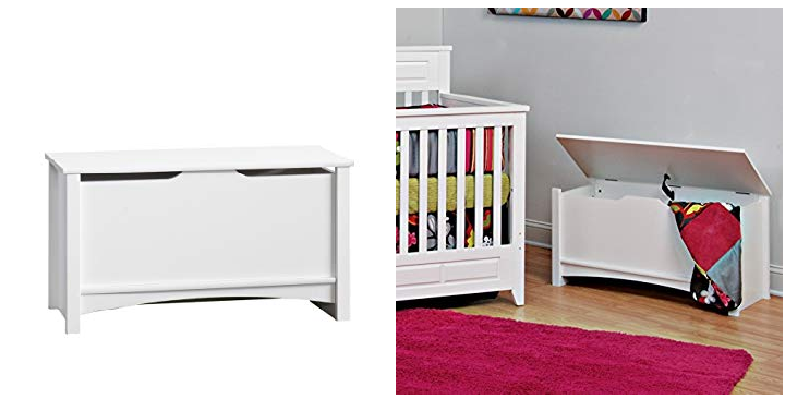 Child Craft Shoal Creek Storage Chest/Toy Chest Only $50.14 Shipped! (Reg $94.99)