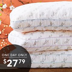 MyPillow Queen & King Pillows Only $27.79! (Reg $80+)