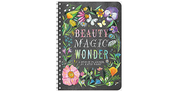 Katie Daisy 2019 On-the-Go Weekly Planner – Just $7.49! So pretty!
