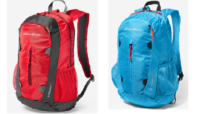 Eddie Bauer Packable 20 L Daypack Only $15 Shipped! 11 Colors to Choose From!