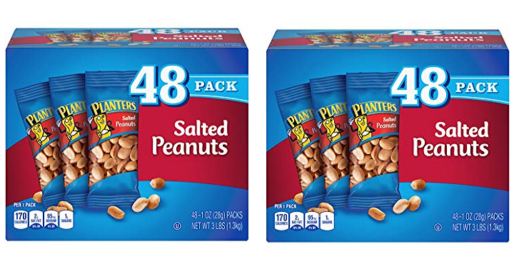 Amazon: Planters Salted Peanuts 48 Pack Only $7.44! (That’s $.15/Pack!)