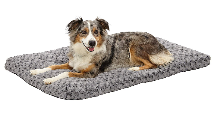 MidWest Homes Pet Bed (Machine Wash Friendly) Only $30.66! (Reg $59.99)