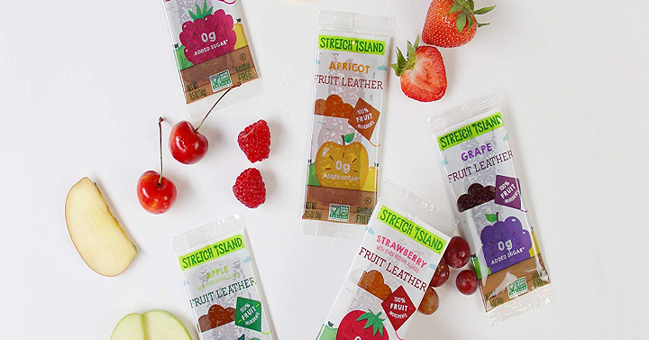 Stretch Island Fruit Leather Snacks Variety Pack (Pack of 48) – Only $10.06 Shipped!