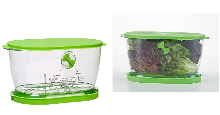 Progressive Prep Solutions Lettuce Keeper Only $10.71! (Reg $25)