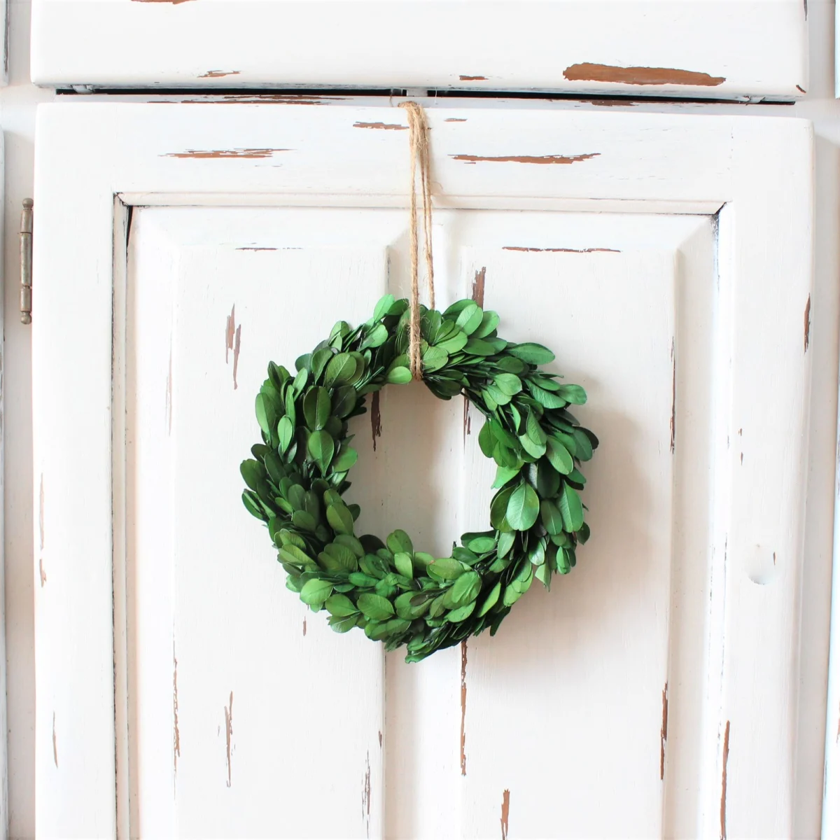 Jane: 6″ Mini Boxwood Wreath Only $9.99!