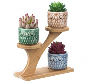 3pcs Owl Succulent Pots with 3 Tier Bamboo Saucers Stand Holder $14.99!