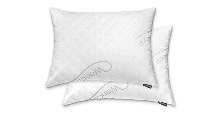 Shredded Memory Foam Pillows for Home & Hotel Collection – 2 Pack Queen – Just $39.99!