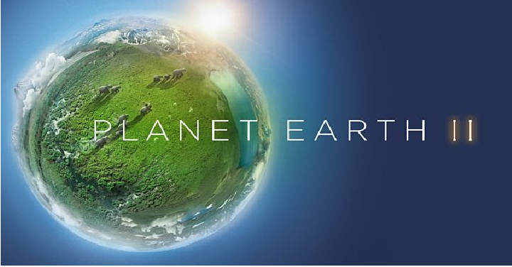Planet Earth II 4K Only $19.99! (Reg. $31)
