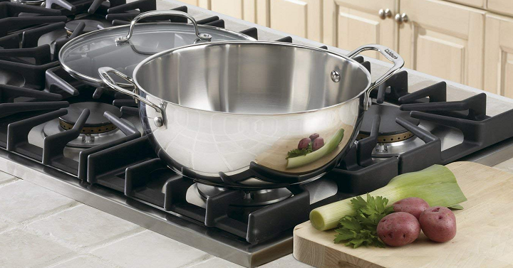 Cuisinart Chef’s Classic Stainless 5 1/2 Quart Multi Purpose Pot with Glass Only $14.99!