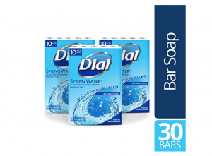 Dial Bar Soap, Spring Water, 30-ct Just $11.21!