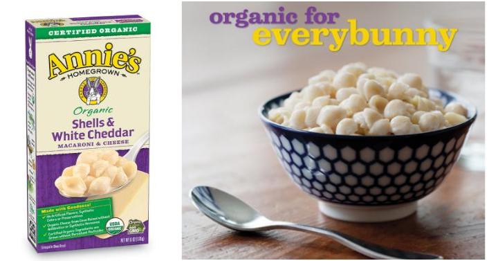 Annie’s Organic Macaroni and Cheese, Shells & White Cheddar Mac and Cheese (Pack of 12) – Only $9.48!