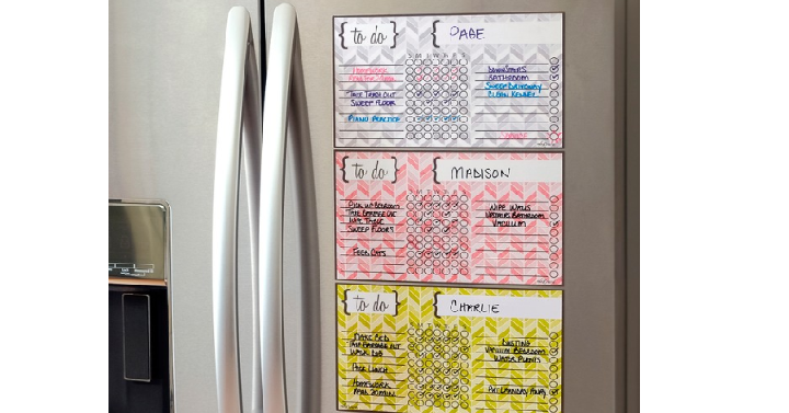 Dry Erase Chore Chart Magnets Only $14.49 Shipped! Great for Summer!