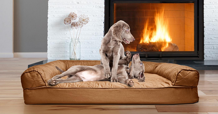 Sofa-Style Orthopedic Pet Dog Bed Mattress Starting at $9.99!