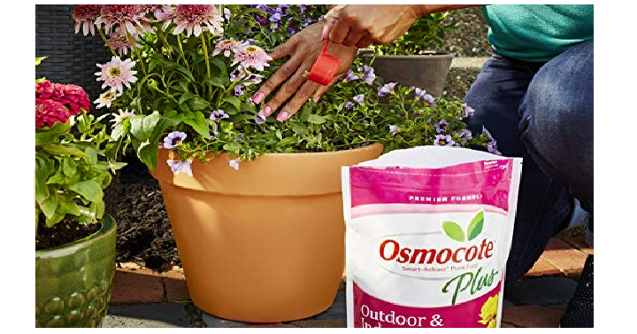 Osmocote Plus Outdoor and Indoor Smart-Release Food (Plant Fertilizer), 8-Pound Only $13.43! (Reg. $25)