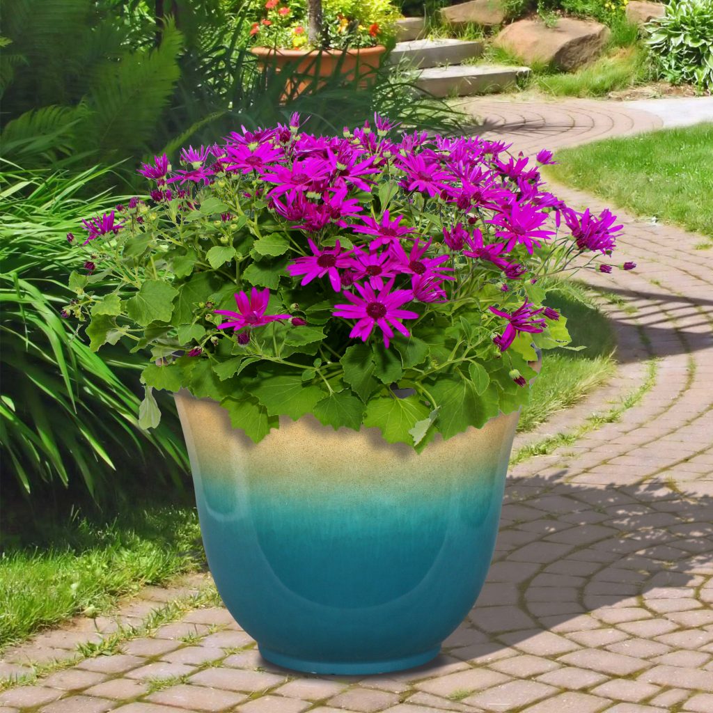 Ombre 22 in. Planters From $12.00!