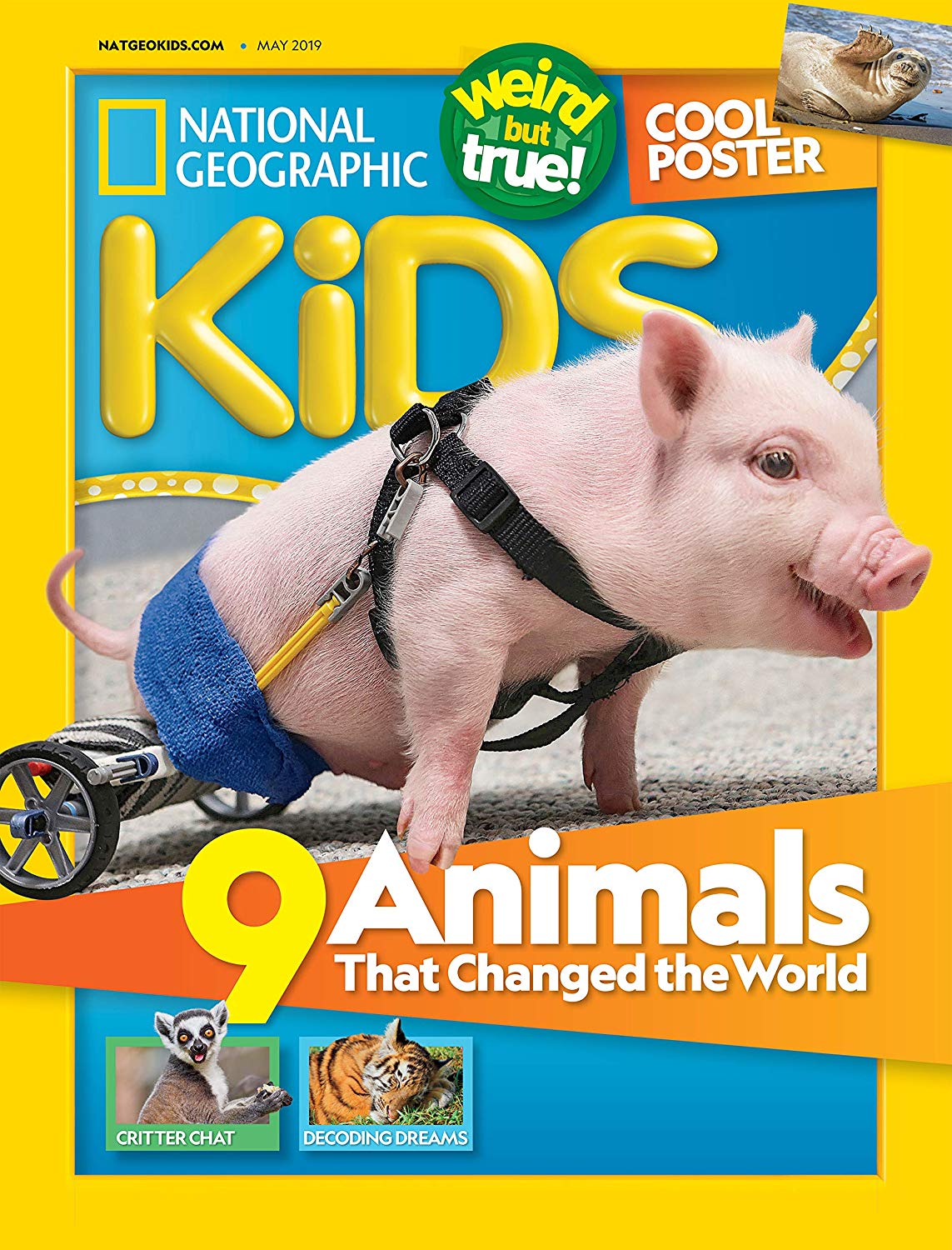 National Geographic Kids 1-Year Subscription Only $15.00!
