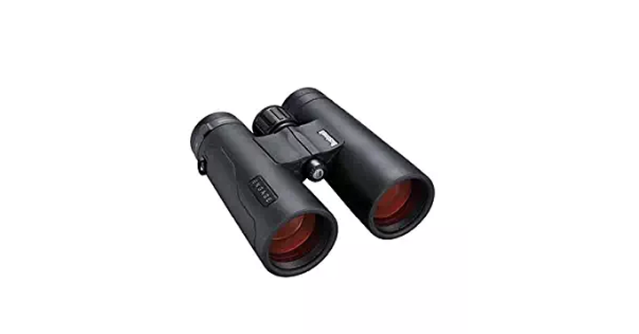 Bushnell Engage Binoculars, Matte Black – Just $133.96! Was $225.01!