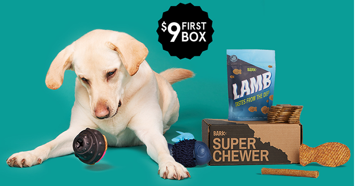 Want to try a Super Chewer box for best friend? Get your first box of tough toys and American made treats for just $9.00!
