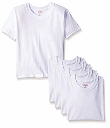 Hanes Boys’ Toddler 5 Pack Crew T-Shirts Only $5.00 on Amazon!